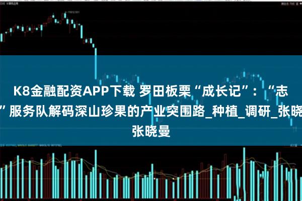 K8金融配资APP下载 罗田板栗“成长记”：“志远”服务队解码深山珍果的产业突围路_种植_调研_张晓曼