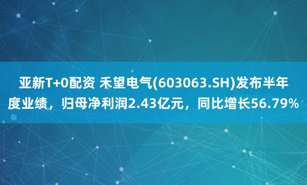 亚新T+0配资 禾望电气(603063.SH)发布半年度业绩，归母净利润2.43亿元，同比增长56.79%