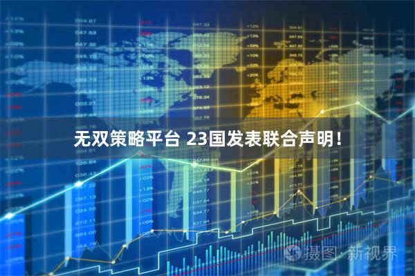 无双策略平台 23国发表联合声明！